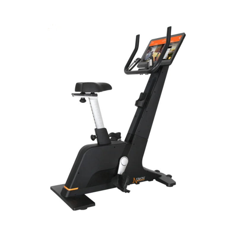 UPRIGHT BIKE PRO