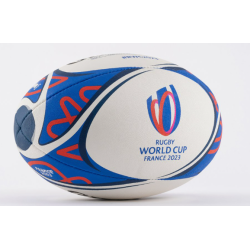 Ballon de la coupe du monde...